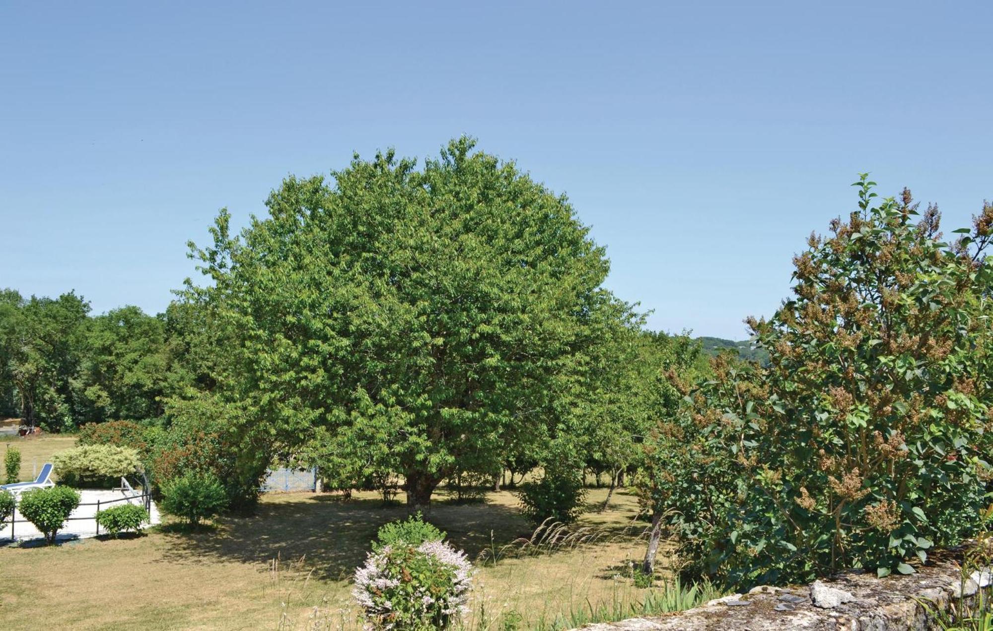 Amazing Home In Ladornac With Kitchen La Dornac Exteriér fotografie